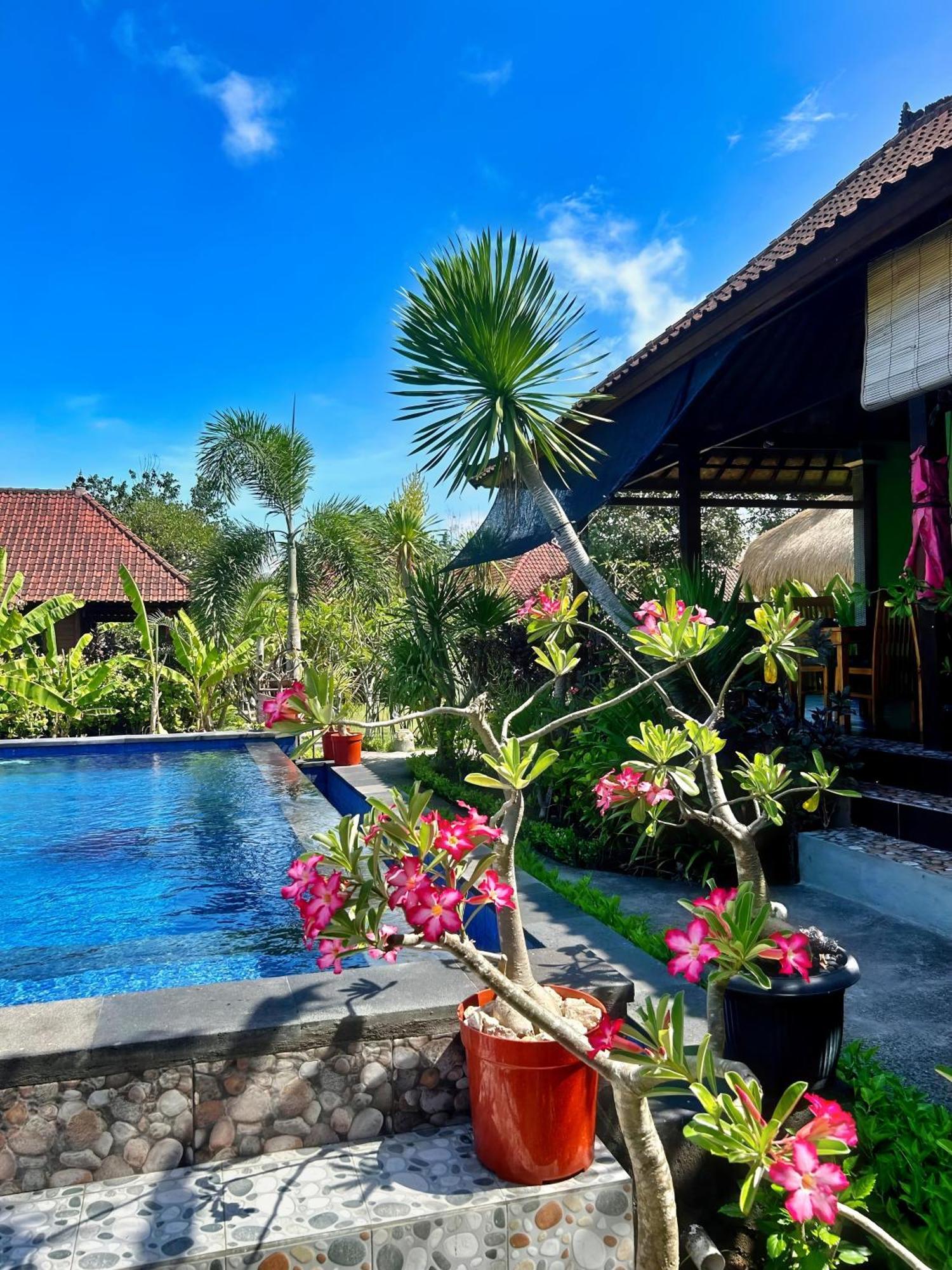 Island Garden Huts Lembongan Acomodação com café da manhã Exterior foto
