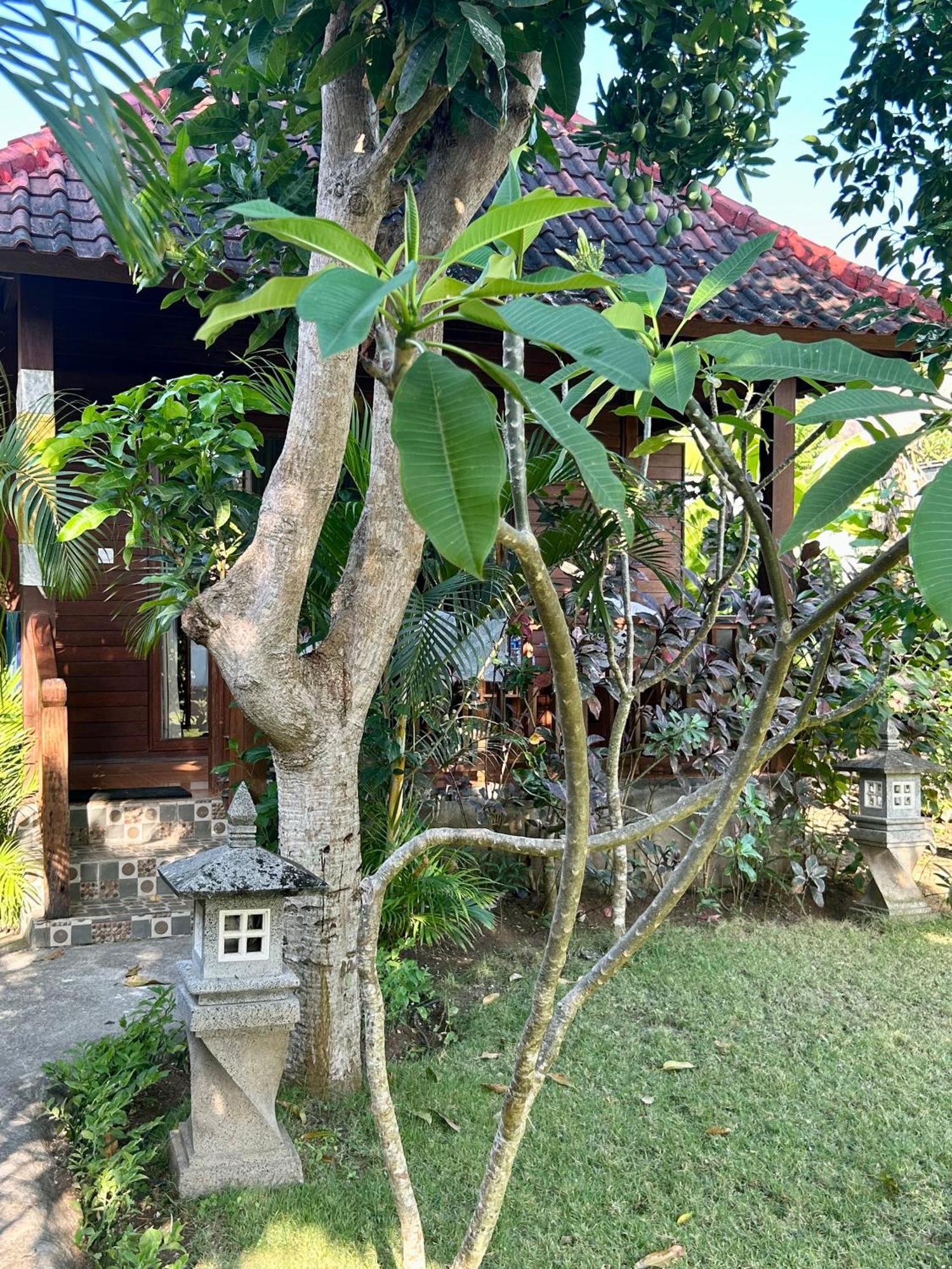 Island Garden Huts Lembongan Acomodação com café da manhã Exterior foto