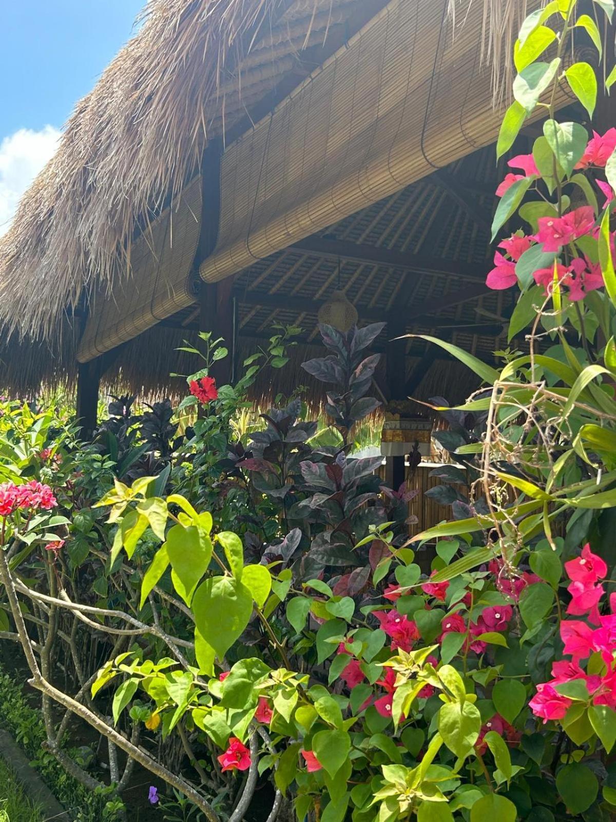 Island Garden Huts Lembongan Acomodação com café da manhã Exterior foto